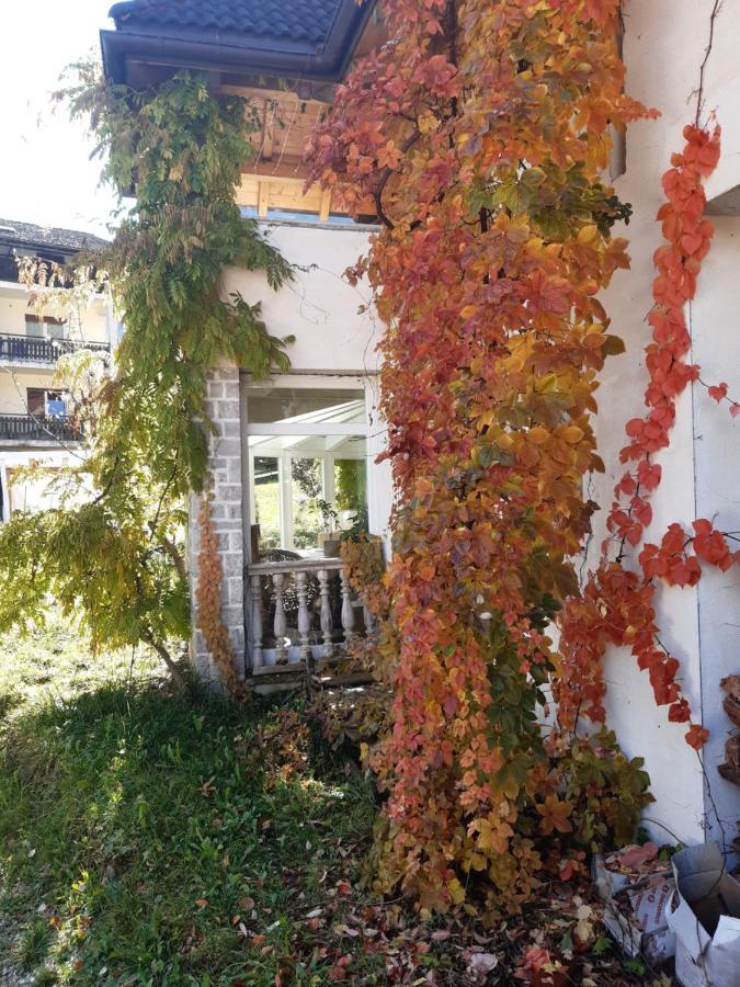 Locanda Rondolost Cencenighe Eksteriør bilde